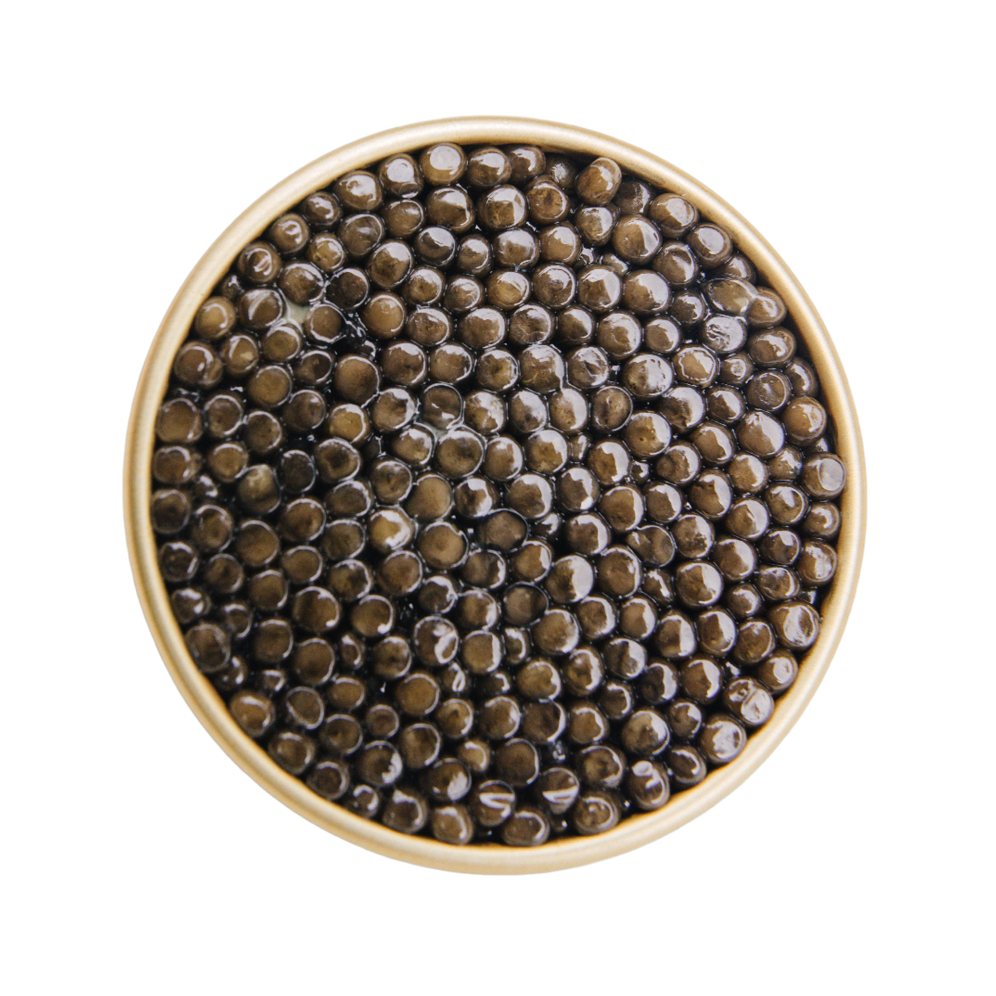 Osetra Caviar Imperial Tin - Global Caviar